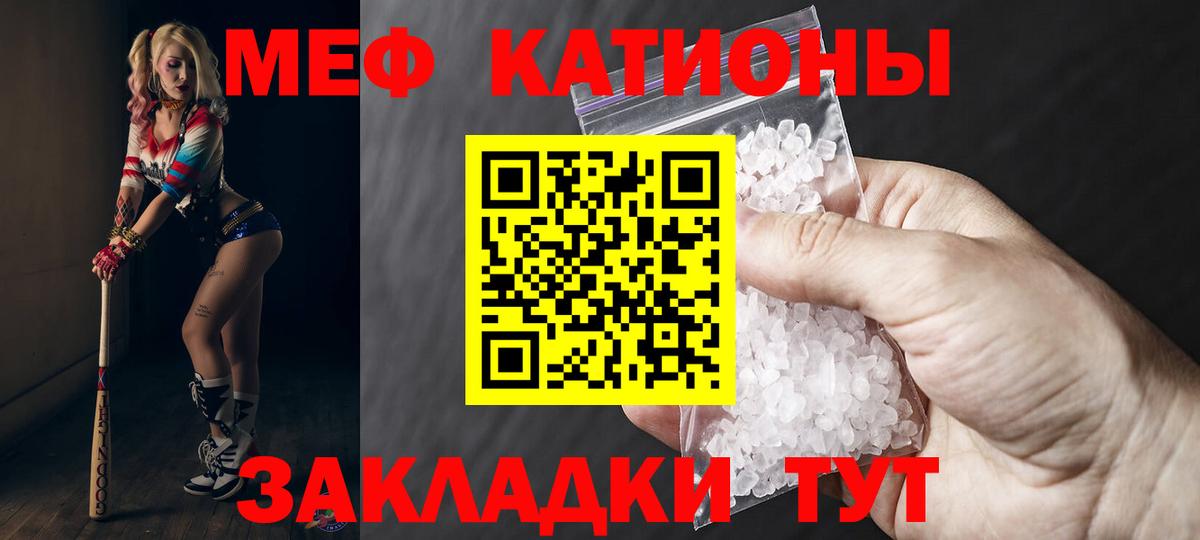 МЕФ  Звенигород