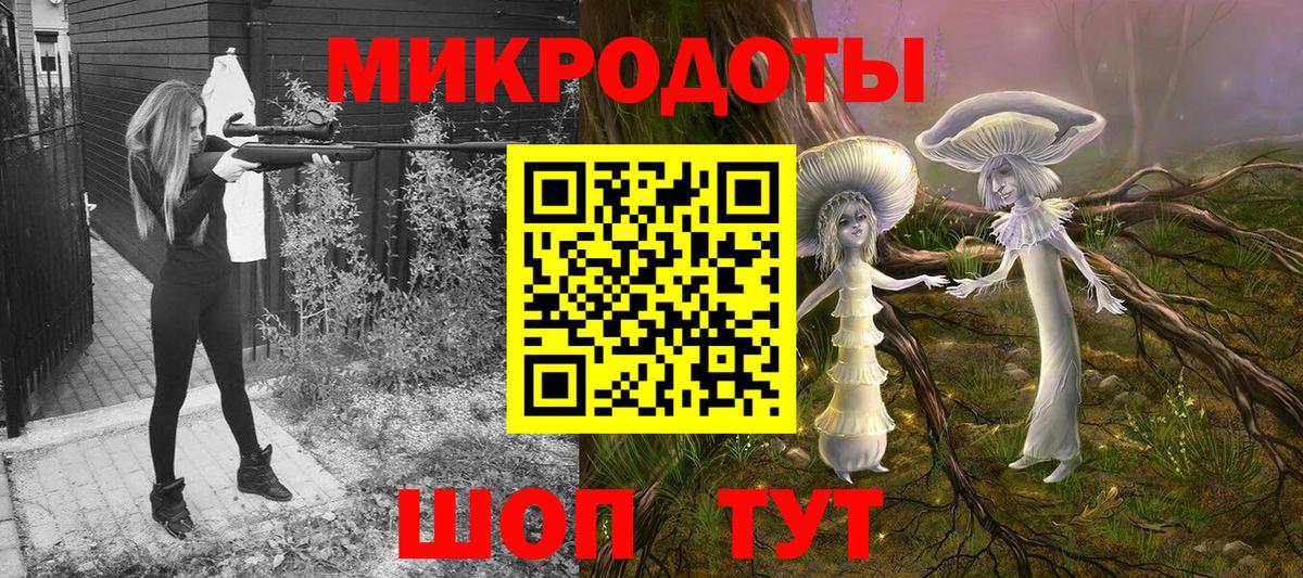 Псилоцибиновые грибы Psilocybe Звенигород